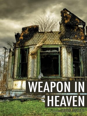 cover image of Weapon In Heaven